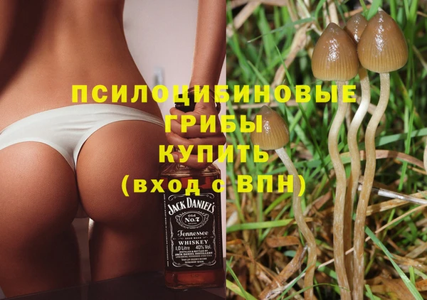 СК Бородино