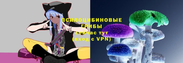 СК Бородино