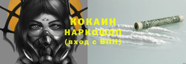 СК Бородино
