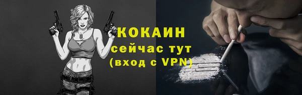 СК Бородино