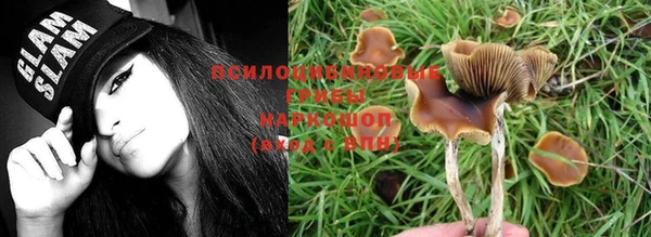 ешки Белая Холуница