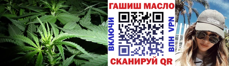 omg вход  продажа наркотиков  Верхняя Тура  Дистиллят ТГК гашишное масло 