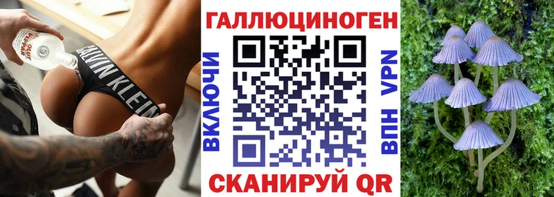 Псилоцибиновые грибы Cubensis  Верхняя Тура 